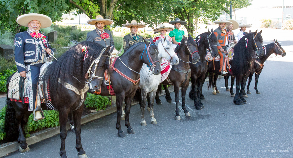 150606-Grand Floral Parade-064